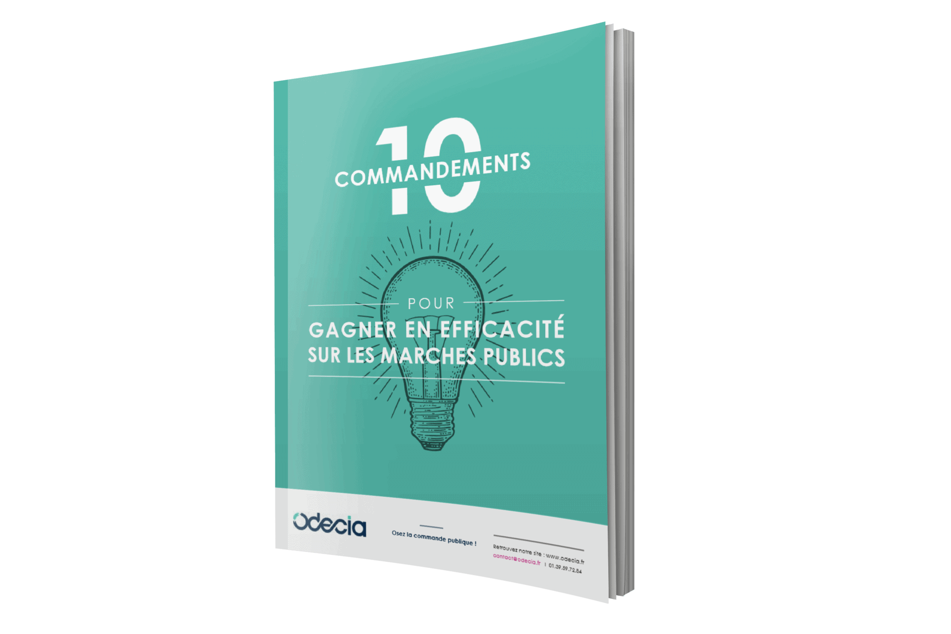 Livre blanc - Les 10 commandements pour gagner en efficacité sur les appels d'offres