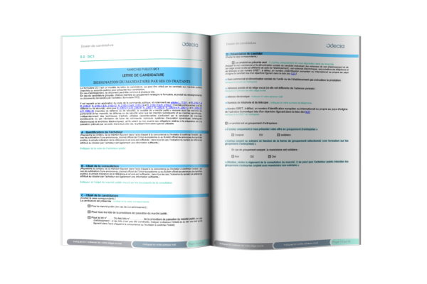 Modèle de Dossier de candidature pour les entreprises spécialisées en Aménagement paysager – Pages dédiées au DC1.
