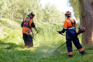 Deux professionnels équipés de débroussailleuses, coupant de hautes herbes dans un sous-bois.